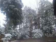 ●あら…、雪が降って来ました。能登半島。f^_^;