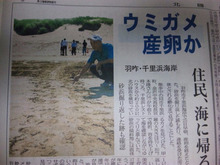●いつもの、千里浜海岸に…ウミガメが産卵φ(.. )