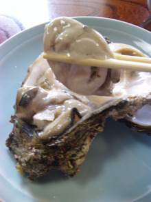 ●天然牡蛎、美味し過ぎて…たまらん
