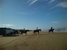 ●千里浜､馬やら…人が走ってます。