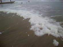 ●千里浜なぎさドライブウェーは､波が押し寄せ…