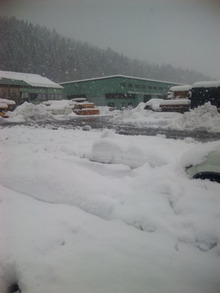 ●永平寺町は､それなりの積雪です(＃^.^＃)気温２度