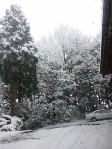 ●明日は「立春」なのに能登半島には「雪」が降って来ました。