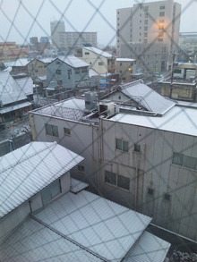 ●愛知県犬山市も、今朝はうっすら雪景色( ^_-)-☆