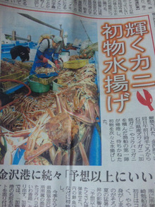●ずわい蟹漁が、本日(６日)に解禁だと(＃^.^＃)